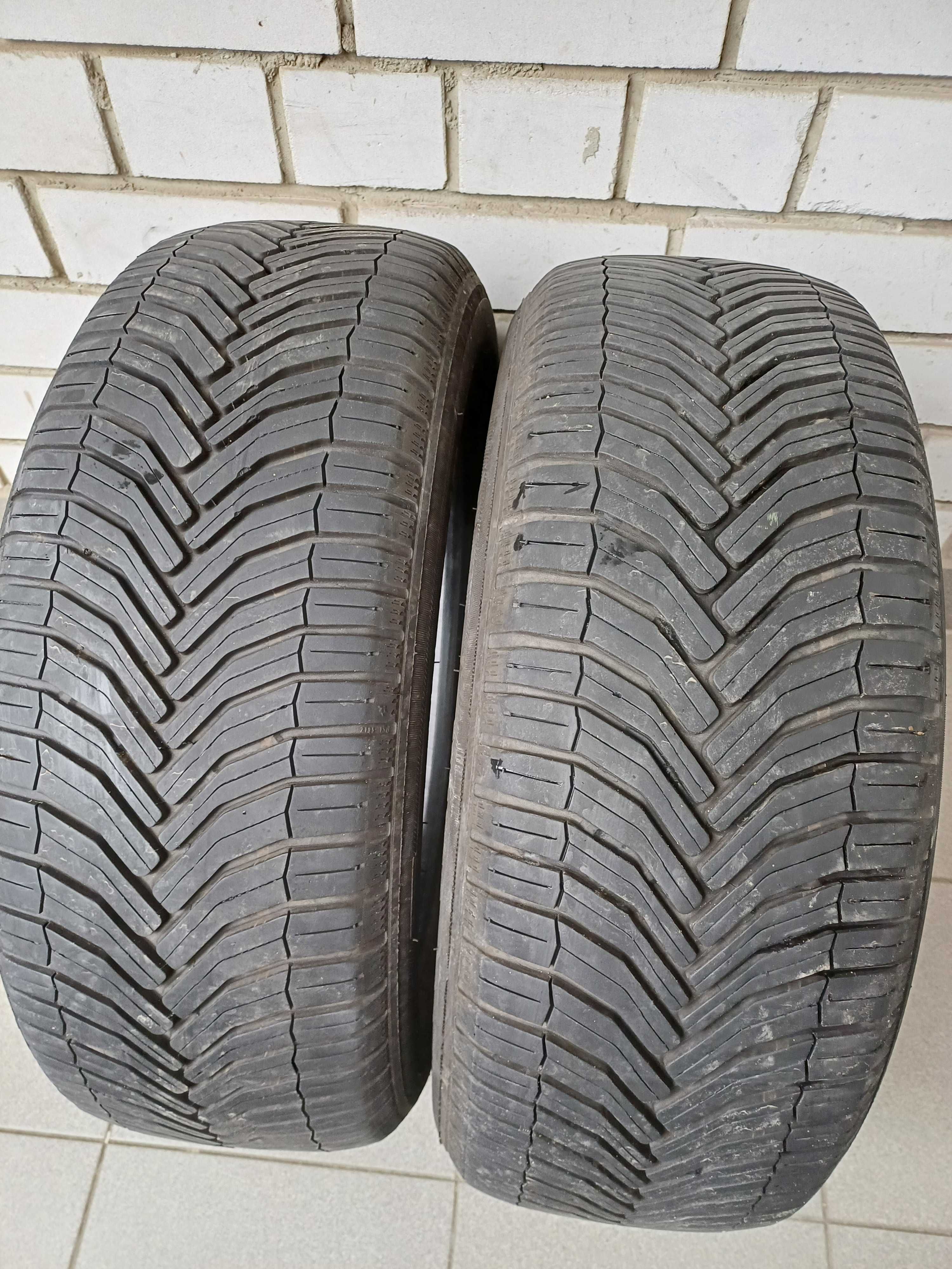 205/55 R16 Michelin Cross Climate 2021