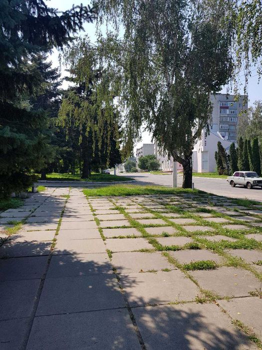 Продаж квартир у центрі міста Миронівка.