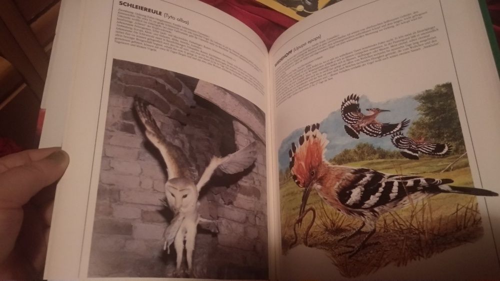 Vögel Moewig книга атлас немецкий язык птицы отличное состояние