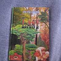 Encyklopedia: Lasy