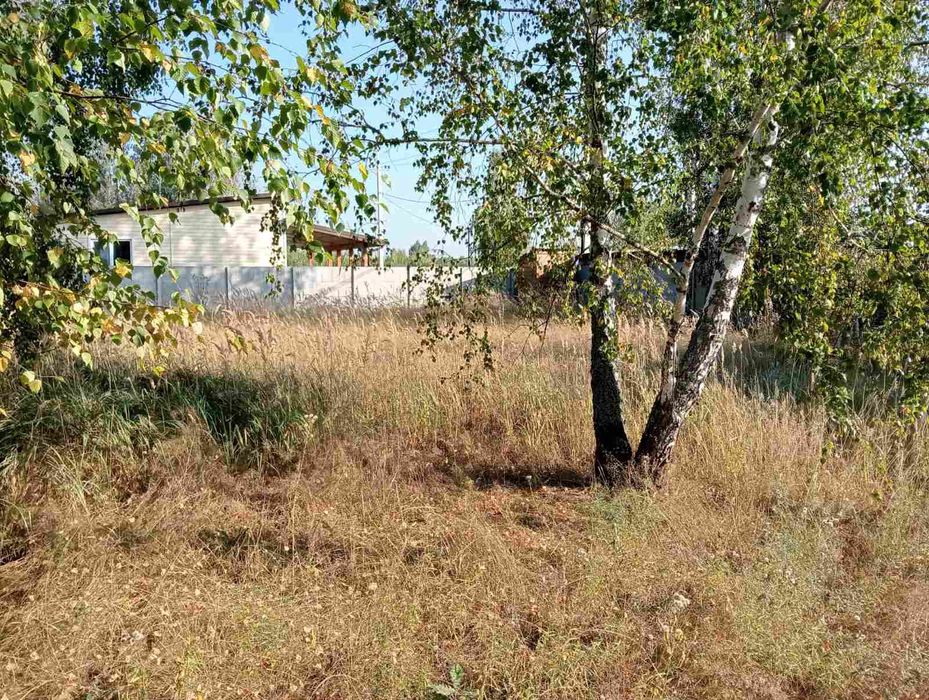 Продаж земельної ділянки Прохорів хутір