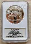 Konik Polski PR70 PR 70 20 zł srebrna kolekcjonerska