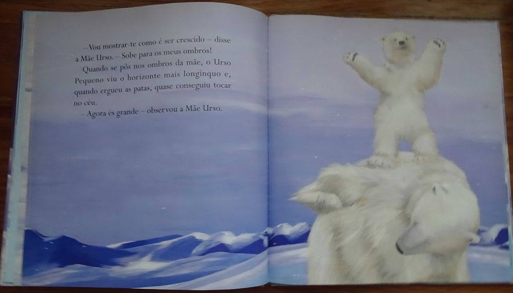 Urso Grande Urso Pequeno (Um Livro Para Tocar e Sentir)
