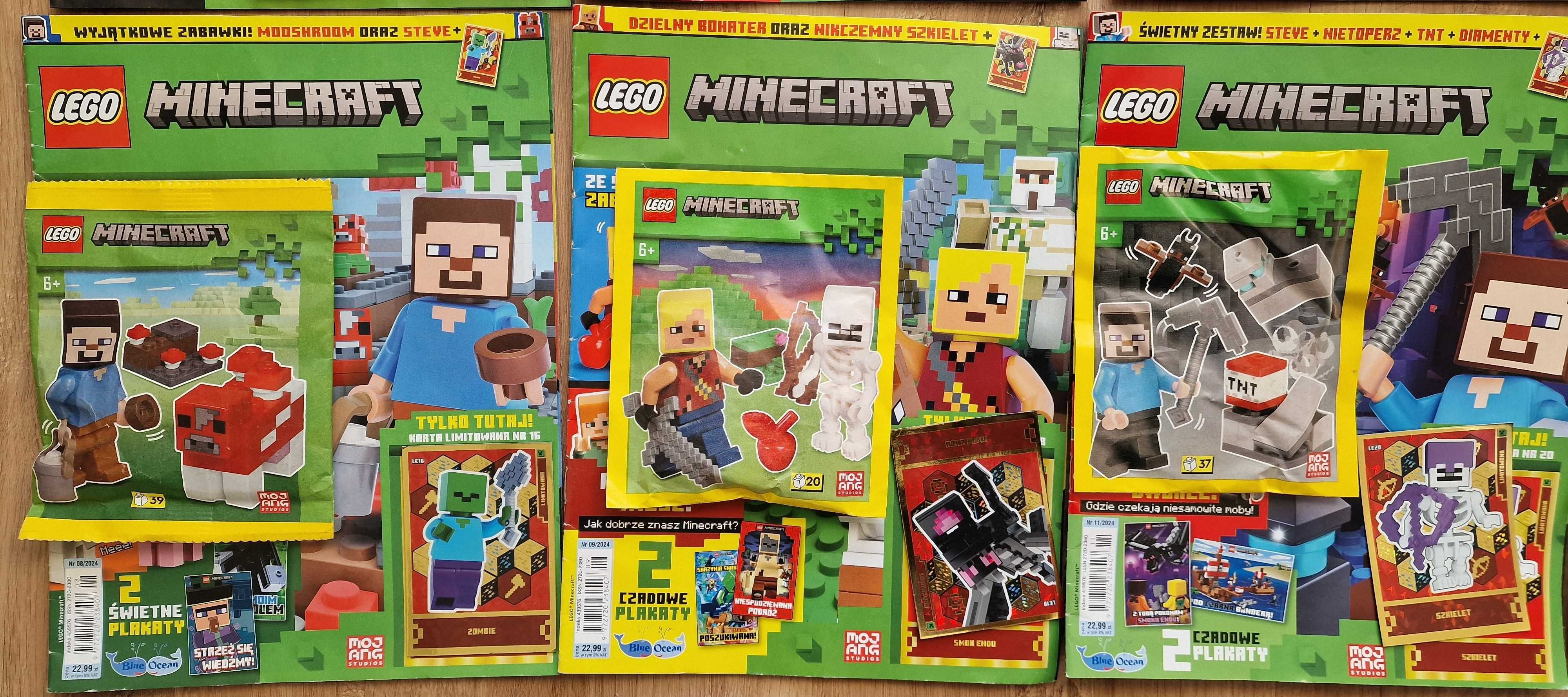 10 X magazyn LEGO MINECRAFT rok 3/4/5/6/7/8/9/10/11/12/2024 + figurki