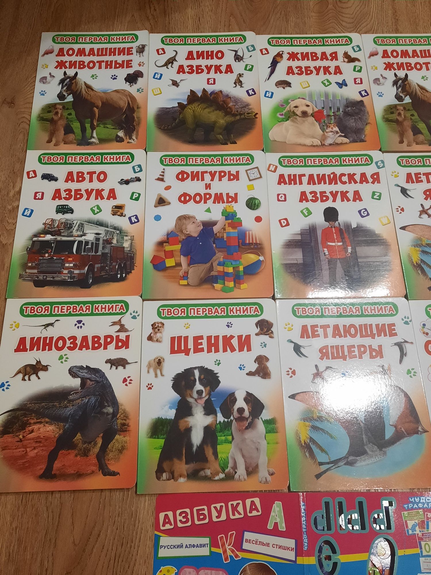 Моя первая книга