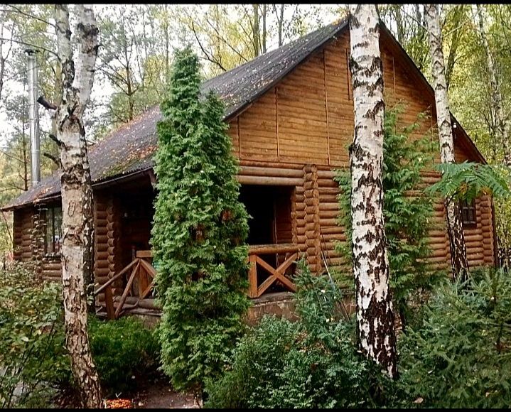 Оренда подобово заміський будинок зі зрубу баня