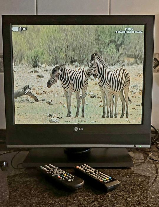 Televisão LCD LG 20LS5R - 51 cm 4:3 + Recetor TDT Sigmatek DVBR-50HD