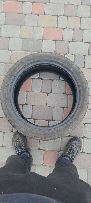 ..                         .