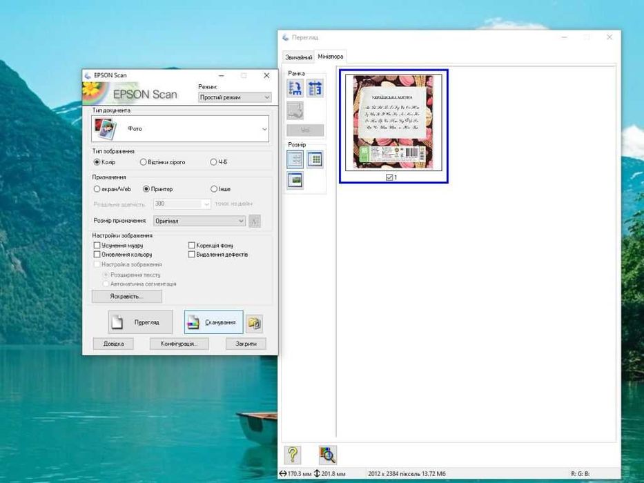 Сканер Epson Perfection V19
