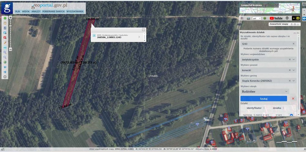 Działki leśne w gminie Łopuszno i Słupia Konecka