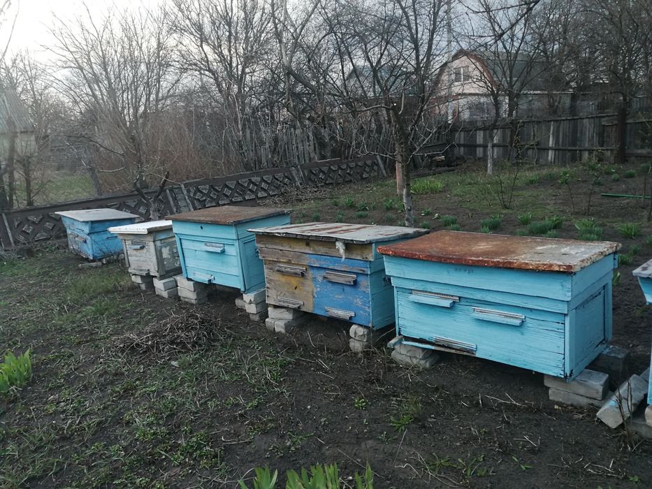 Ульи  для  пчел.