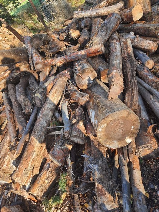 Drewno  opałowe Sosna olcha