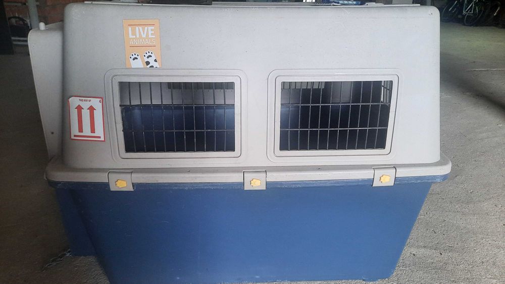 Caixa Transportadora Oficial IATA, para animais  | Ótimo Estado