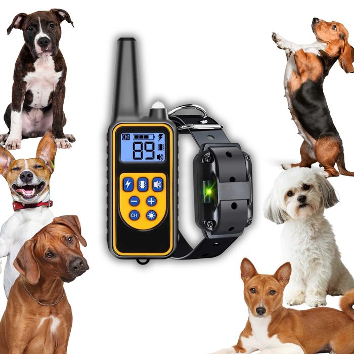 Obroża Treningowa dla Psów – Model 88