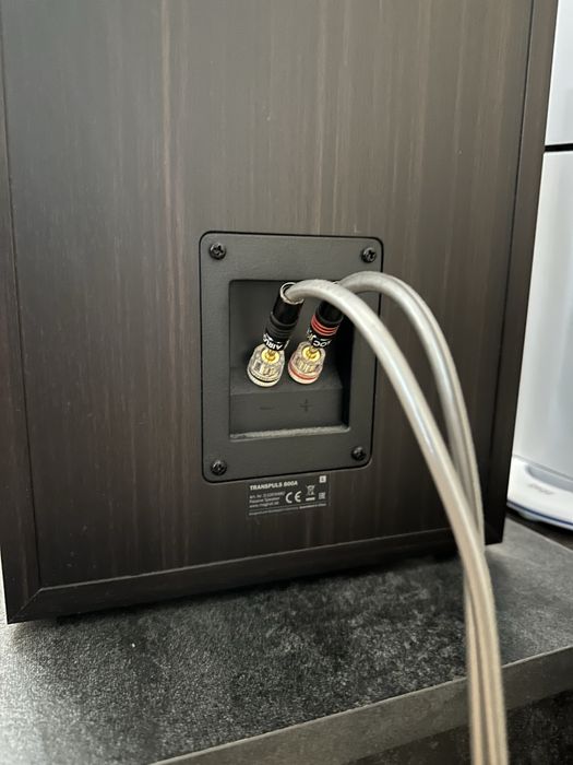 Активная акустика Magnat Transpuls 800a