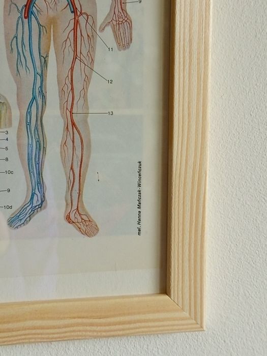 **„Historia w ilustracjach: retro encyklopedyczne dzieła na ścianę”**