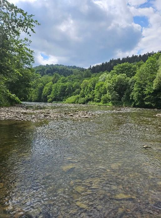 Noclegi, Domki, Bieszczady, Solina, Wichrowe Wzgórze Bukowiec