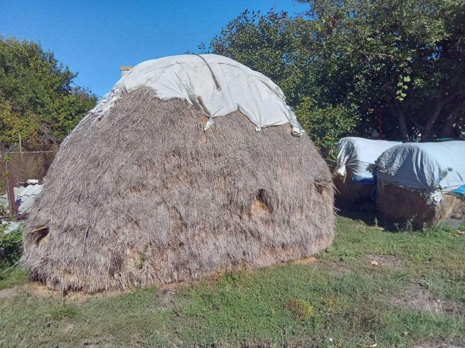 Продам сіно лугове