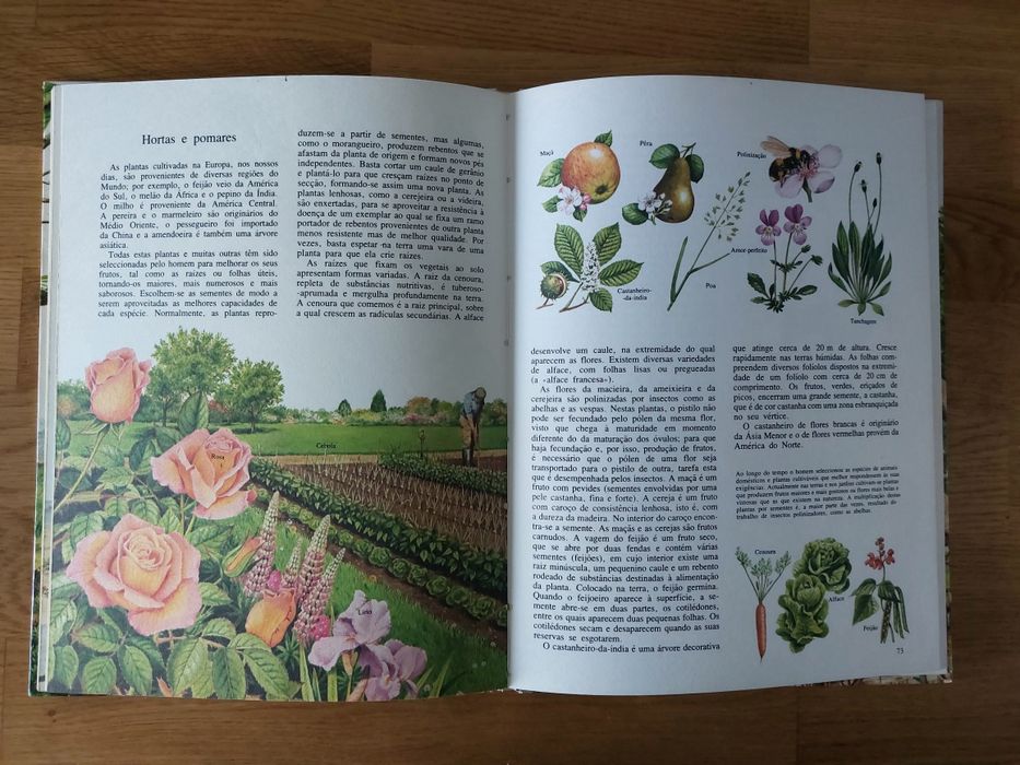 Livro Animais e Plantas de todo o Mundo