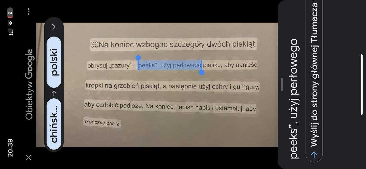 Przewodnik dla początkujący malarzy tuszem w szkole chińskiej