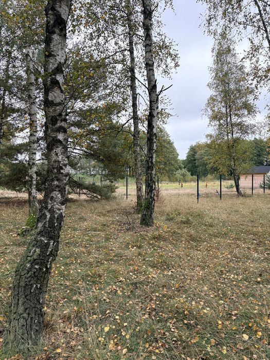 Działka budowlana z WZ