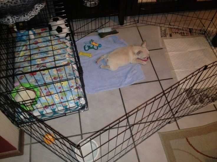 Манеж с дверкой 180*60*61, 76, 91h клетка для собак щенков 8 секций