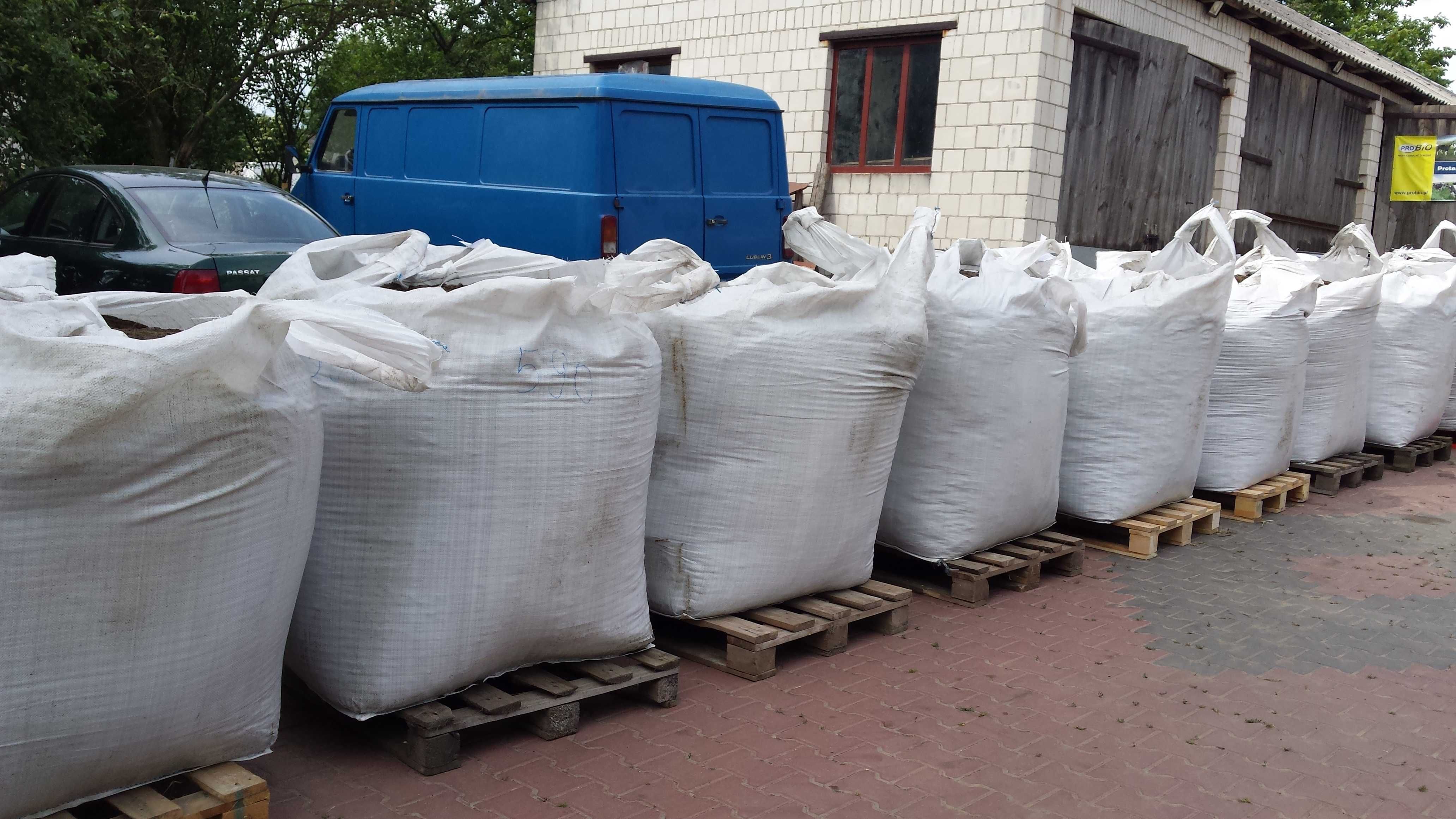 BÓB LUCERNA Koniczyna Sorgo Proso Wyka Groch Słonecznik Rajgras Trawa