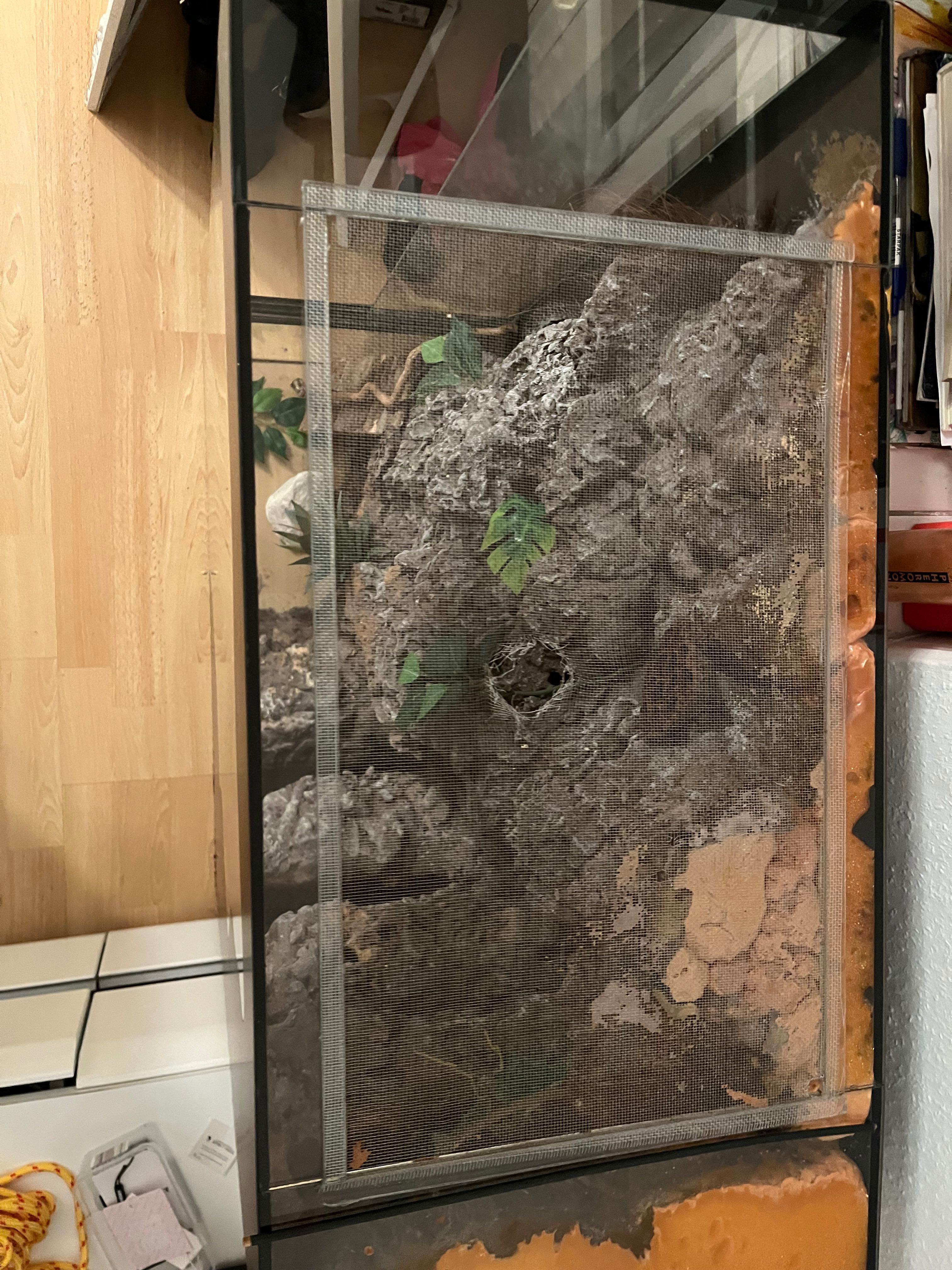 Terrarium pionowe 90x70x35 ze ścianką wyposażeniem gekon płazy