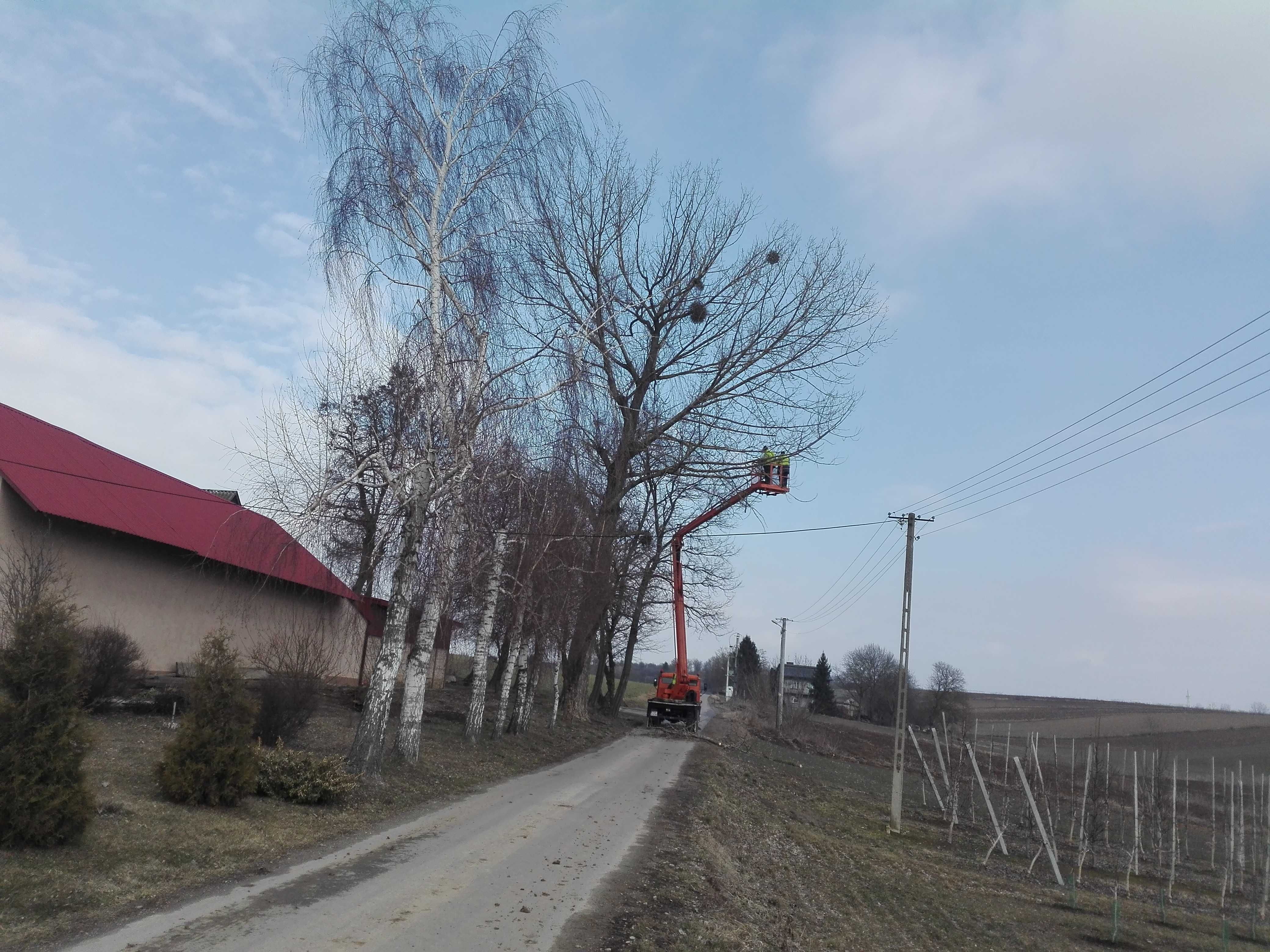 Zwyżka wycinka drzew podnośnik koszowy