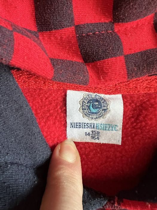 Худі з капюшонами на хлопчиків на 13-14 років