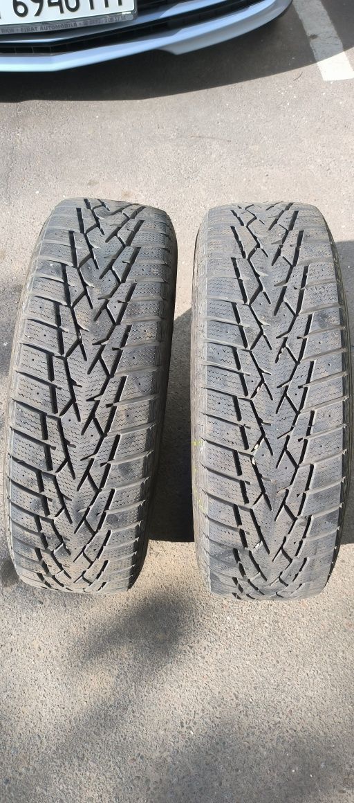 Шины Doublestar Winterking DW01 205/65 R16 2шт