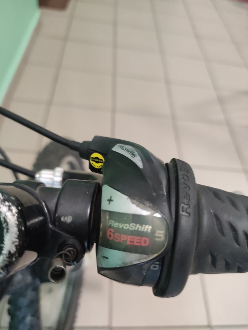 Rower Scott Scale Jr 20