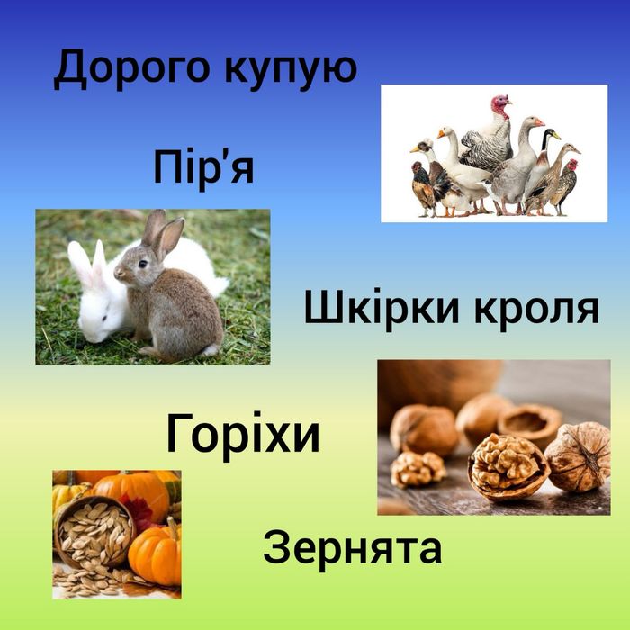 Піря подушки сарі перини горіхи