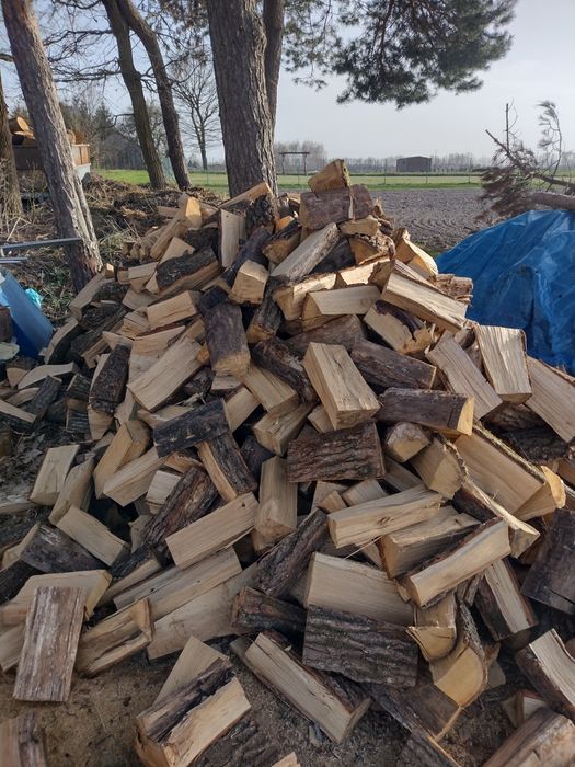 Drewno opałowe kominkowe