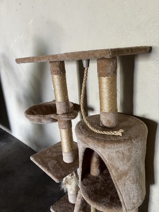 Arranhador para gato