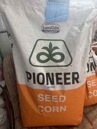 Семена кукурузи Pioneer