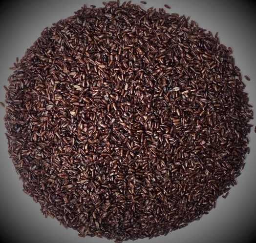 nasiona babki płesznik 5 kg