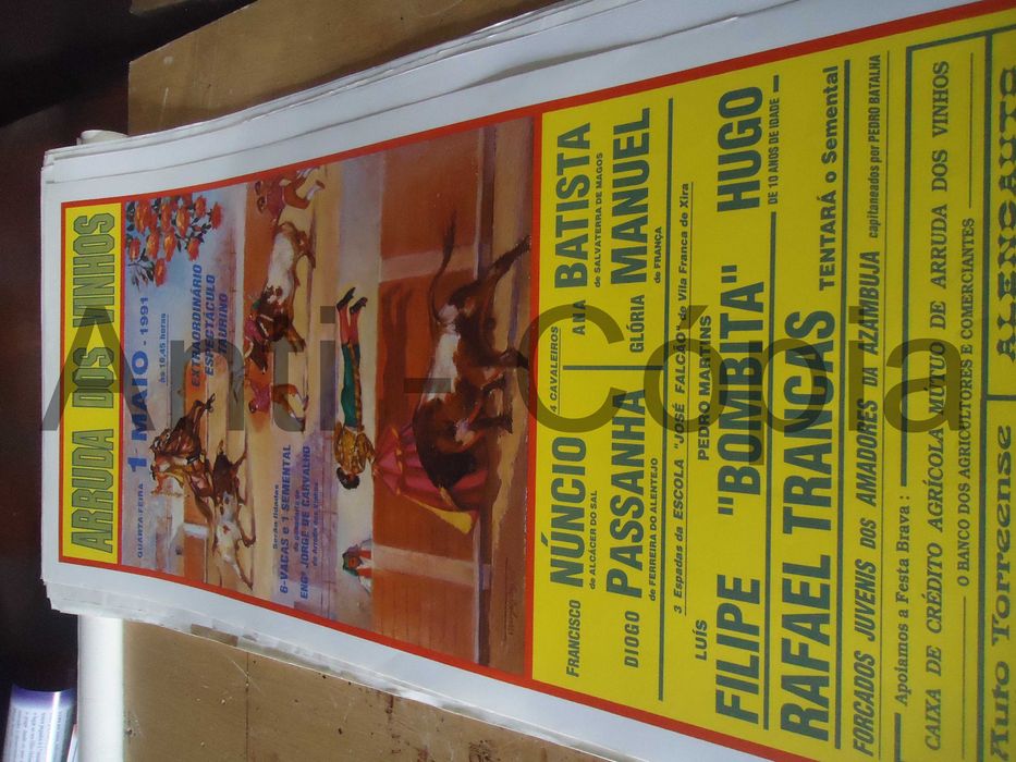 Toiros - Cartazes de Montra 8