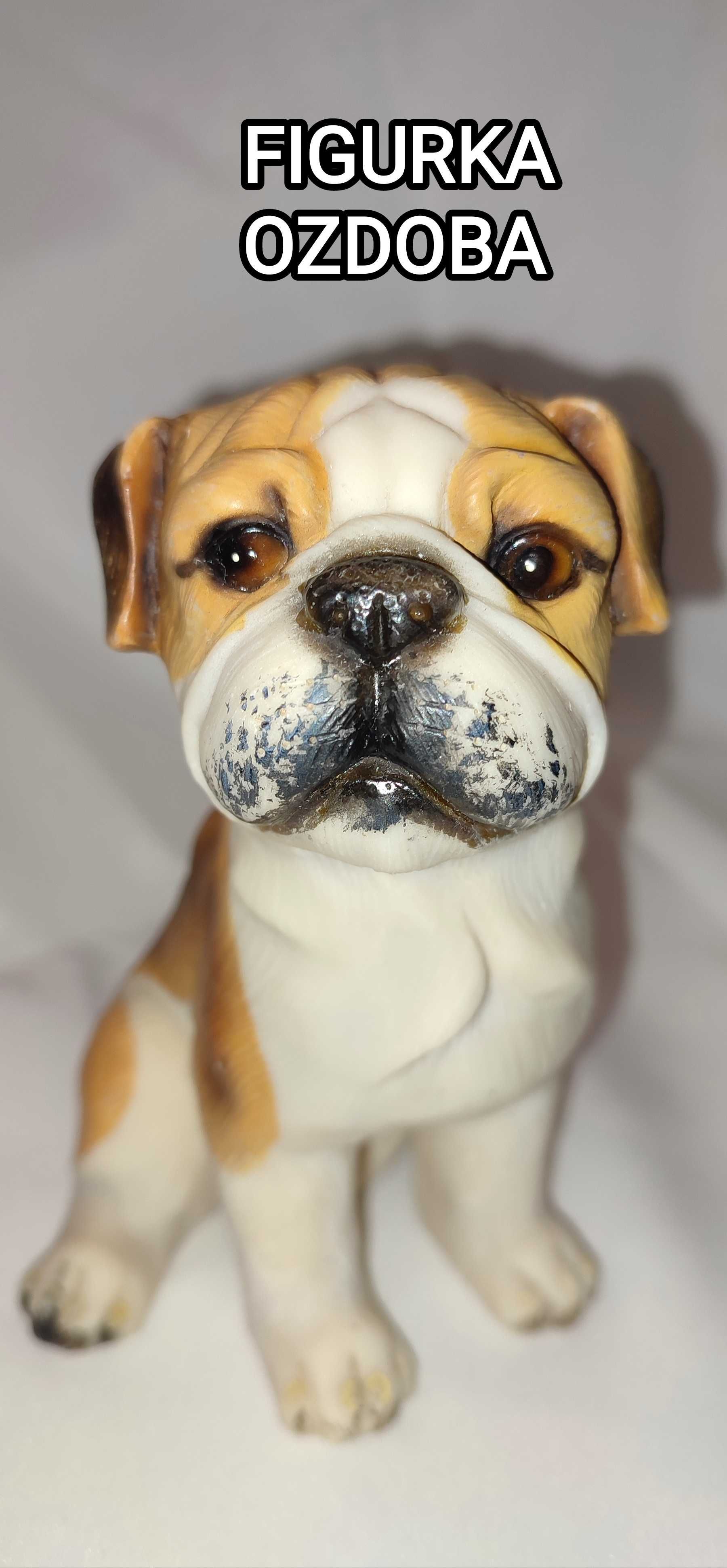 Figurka ozdoba PIES buldog angielski 13 cm