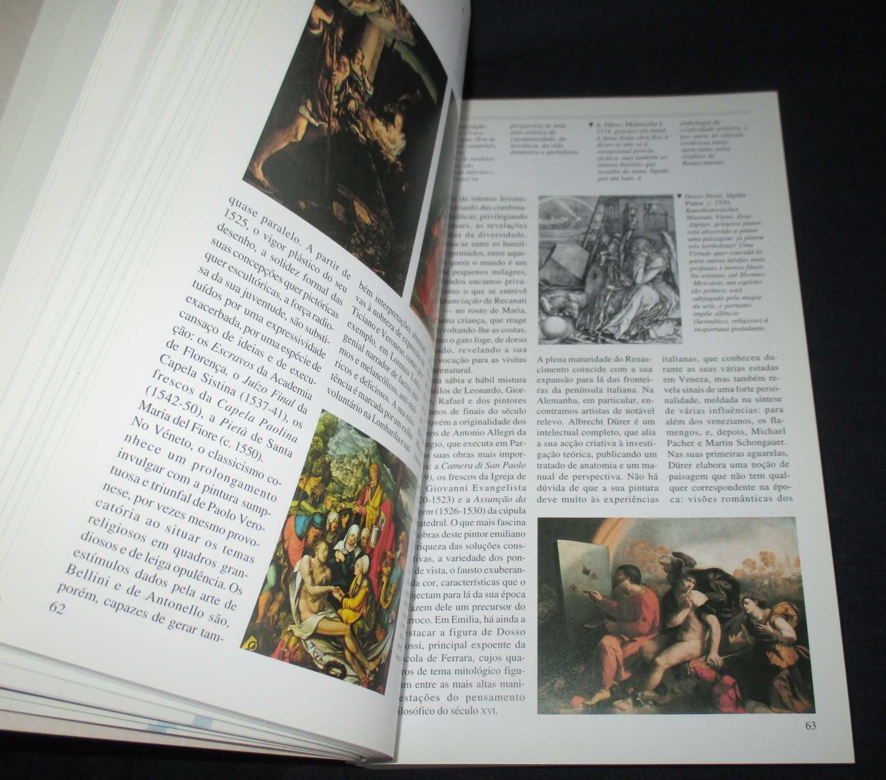 Livro Guia de História da Arte Sandro Sproccati
