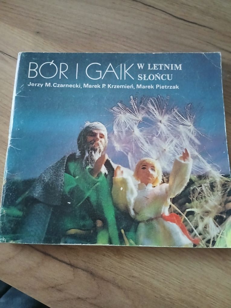 Bór i gaik w letnim słońcu Jerzy M.Czarnecki