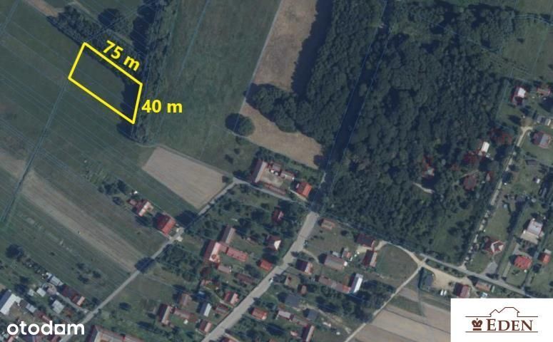 Działka, Domanice