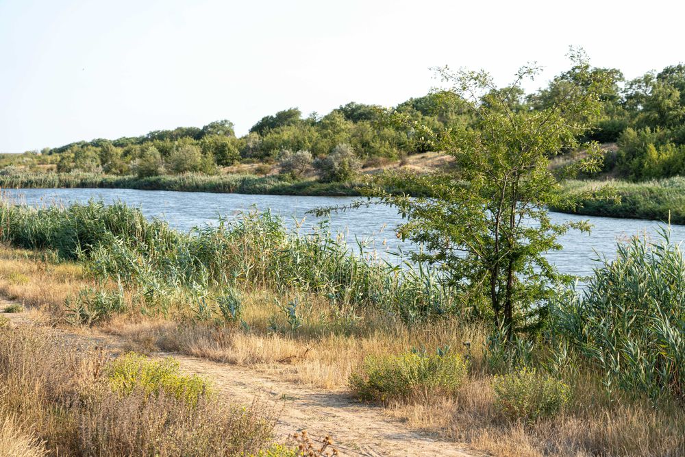 Таунхаус 130 кв.м. Прилиманське/Сухий Лиман