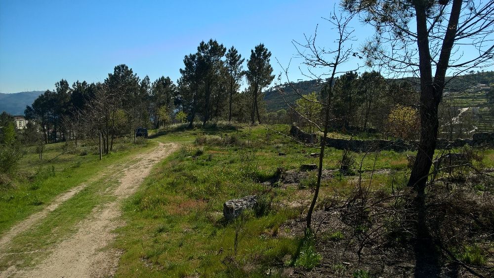 Terreno Para construção Baião, Gôve