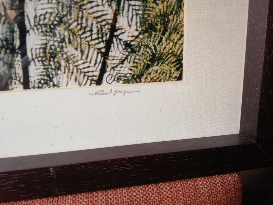 Fotografia original de Carlos Marques