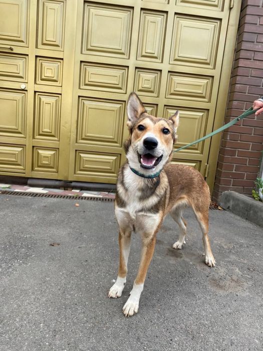 Матуся, де ти? Я так чєкаю на тебе!