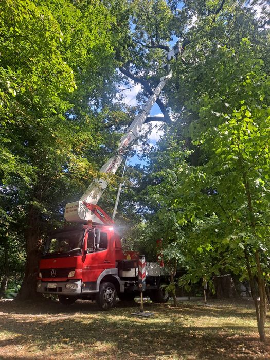 Wynajem Podnośnika Koszowego Zwyżki do 30m NISKIE CENY