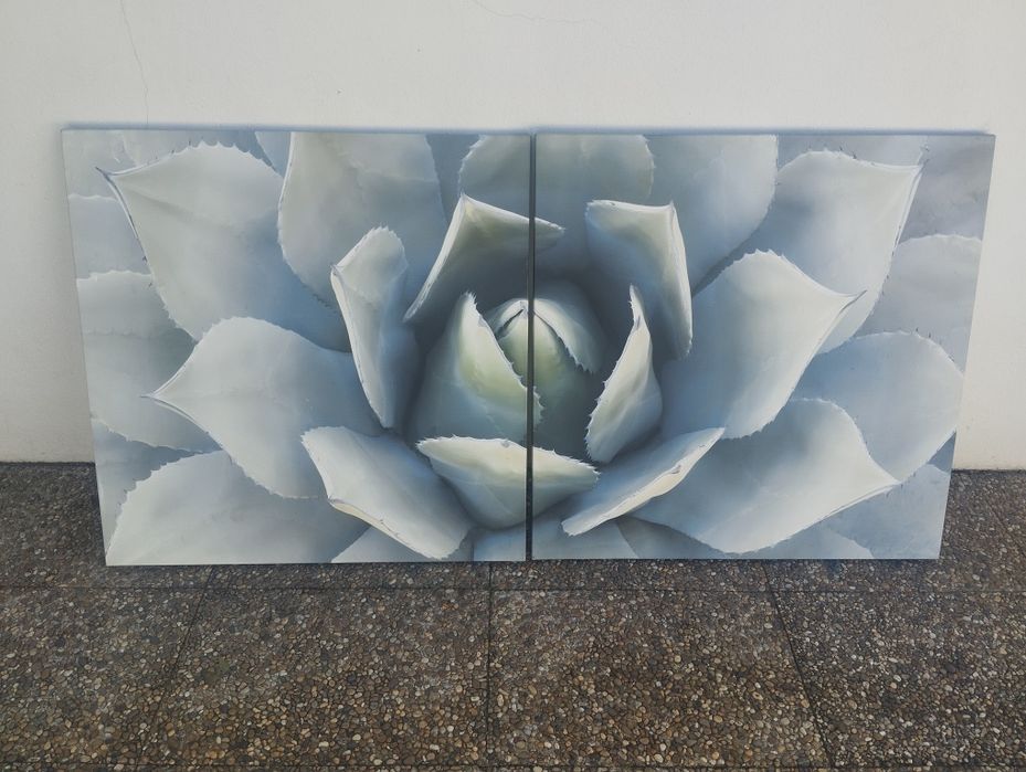 Dois quadros de parede