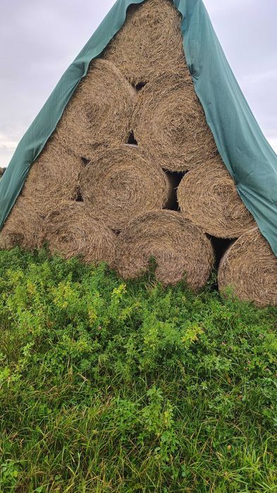 Słoma bele po prasie pasowej