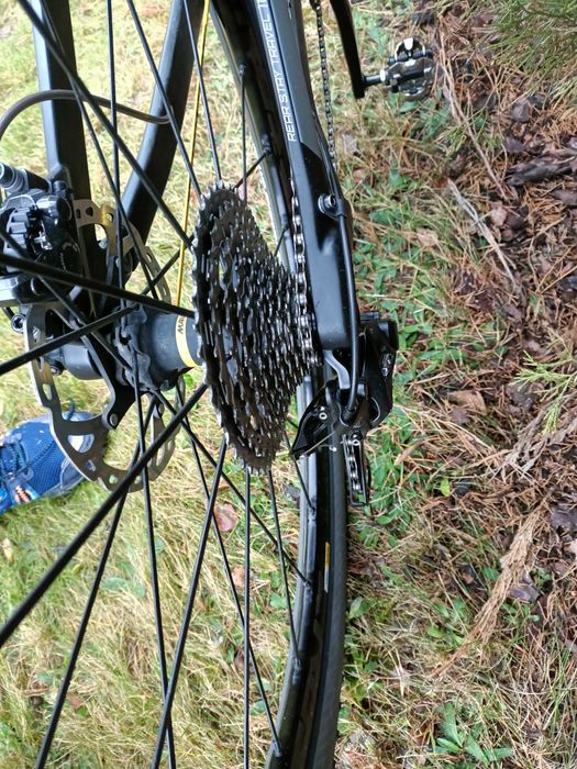 Rower górski Author A-Ray team 29 carbon full do XC